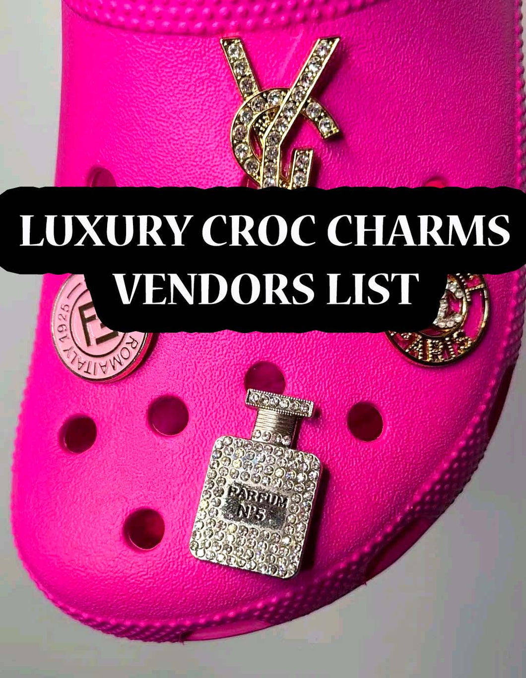 Crocs Jibbitz-inspired Luxury Charms Pins